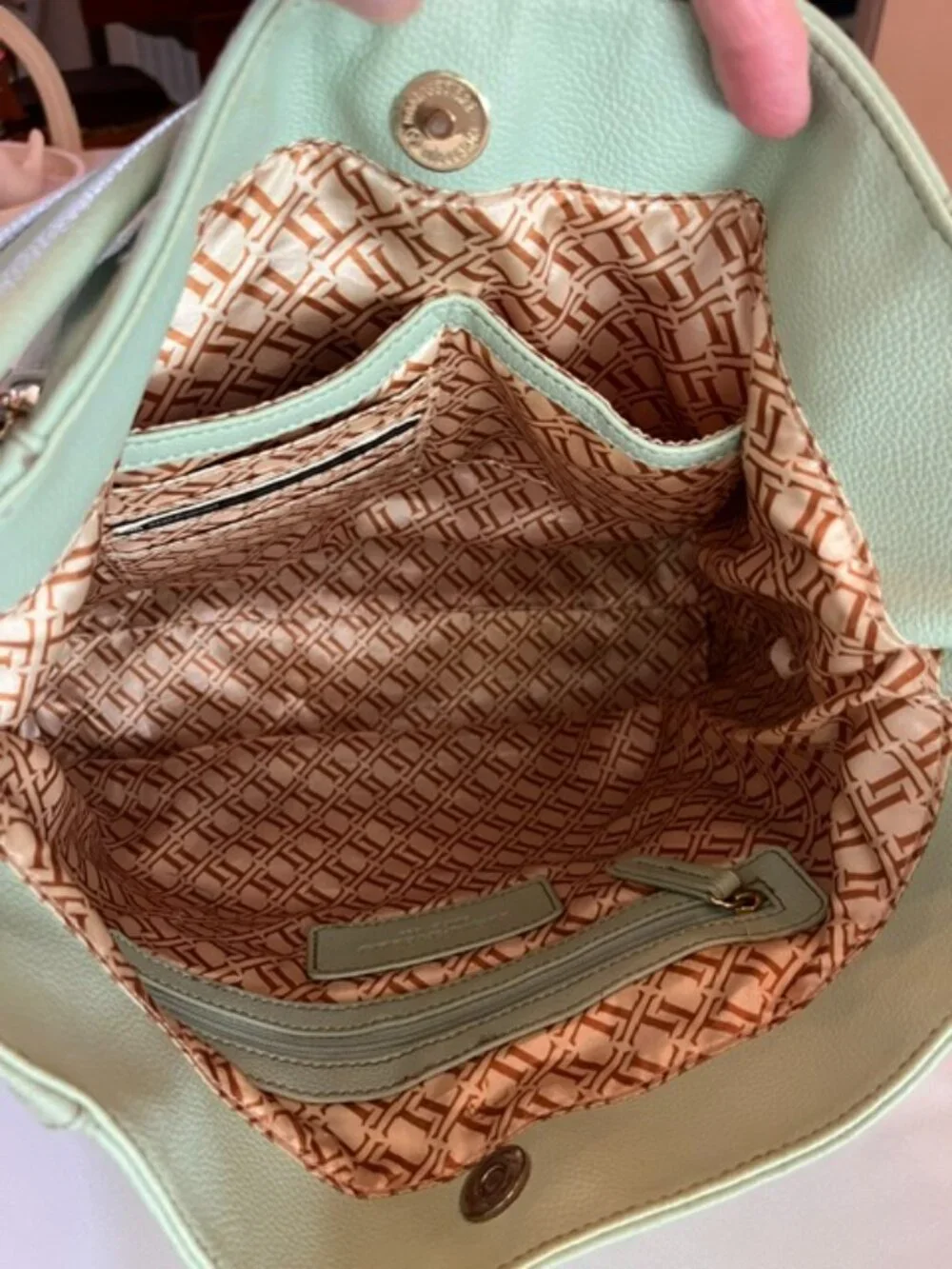 TIGNANELLO | Mint Green Pebbled Leather Handbag Purse Hobostyle